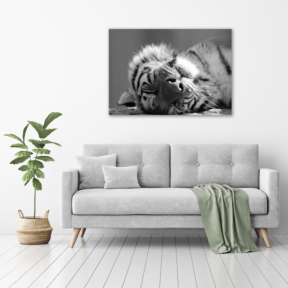 Wall art acrylic Sleepy Tiger