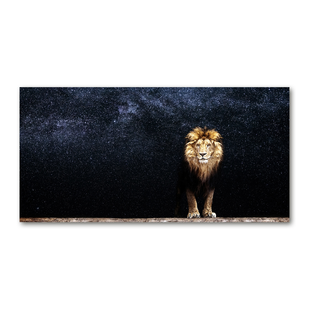 Acrylic wall art Lion against the backdrop of the stars