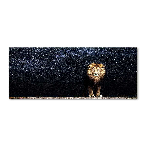 Acrylic wall art Lion against the backdrop of the stars