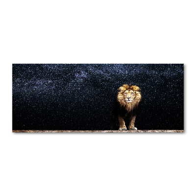 Acrylic wall art Lion against the backdrop of the stars