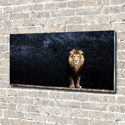 Acrylic wall art Lion against the backdrop of the stars