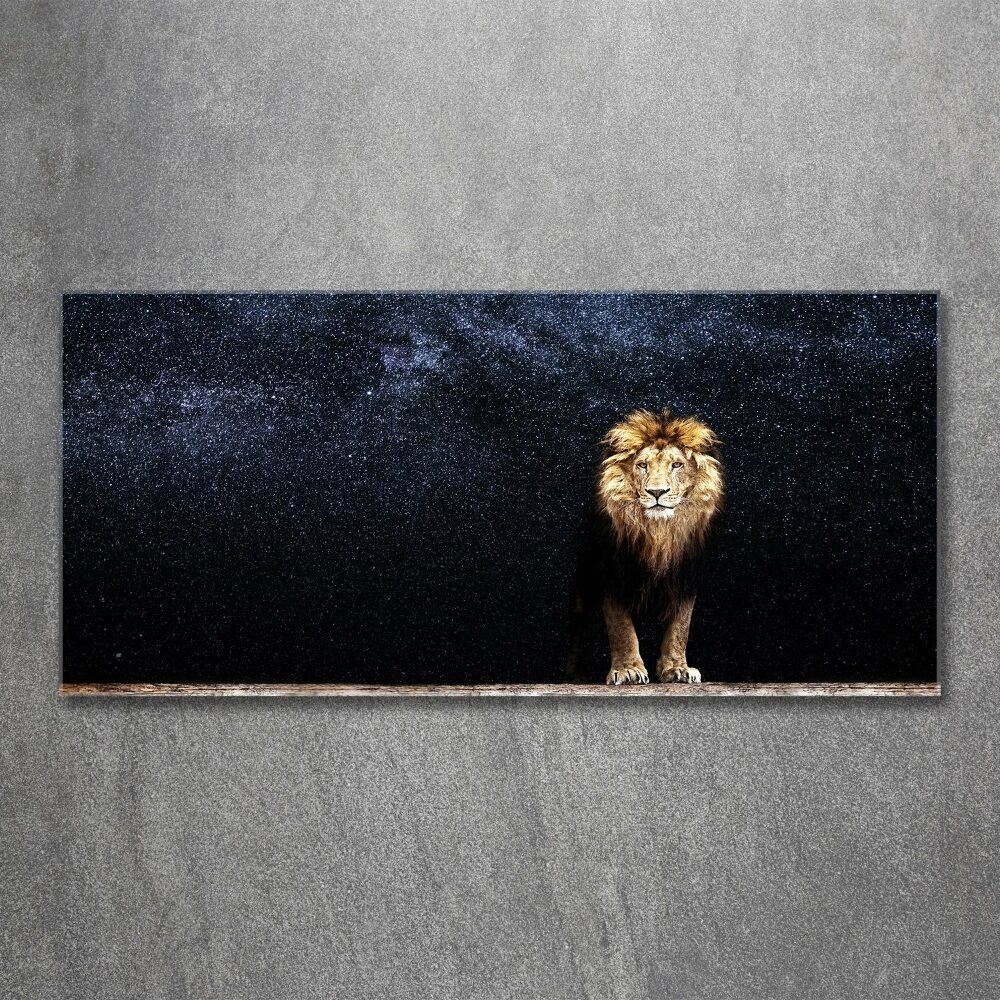 Acrylic wall art Lion against the backdrop of the stars