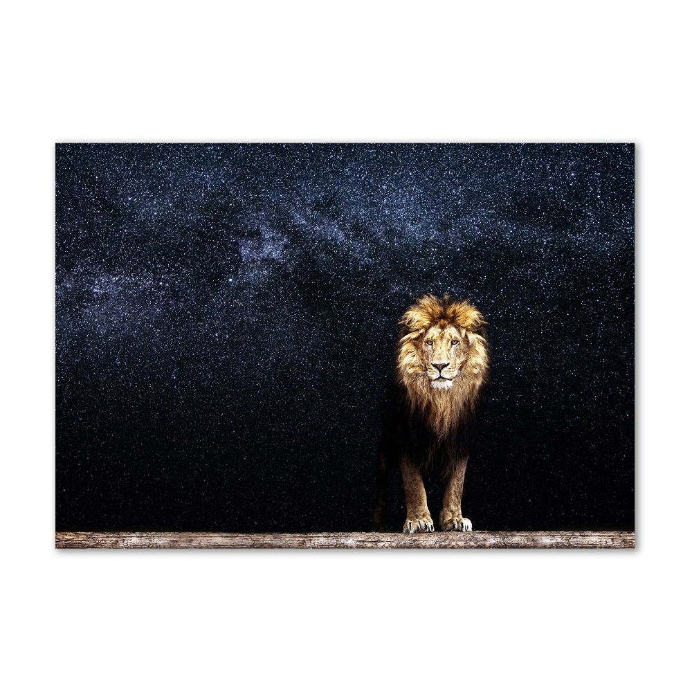 Acrylic wall art Lion against the backdrop of the stars