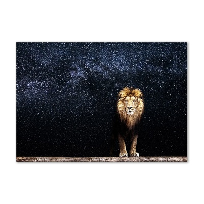 Acrylic wall art Lion against the backdrop of the stars