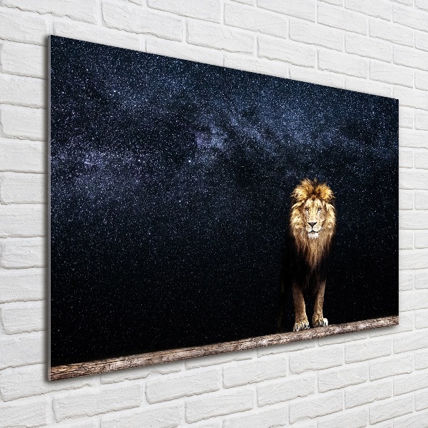 Acrylic wall art Lion against the backdrop of the stars