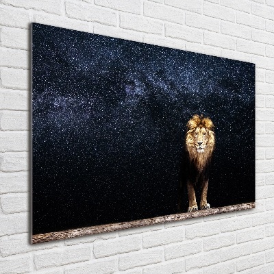 Acrylic wall art Lion against the backdrop of the stars