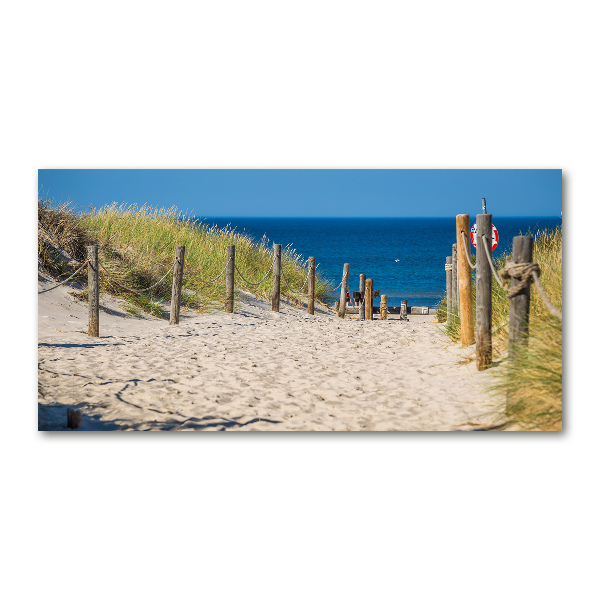 Wall art acrylic Coastal dunes