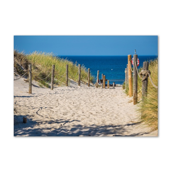 Wall art acrylic Coastal dunes