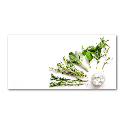 Wall art acrylic Herbs