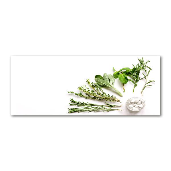 Wall art acrylic Herbs