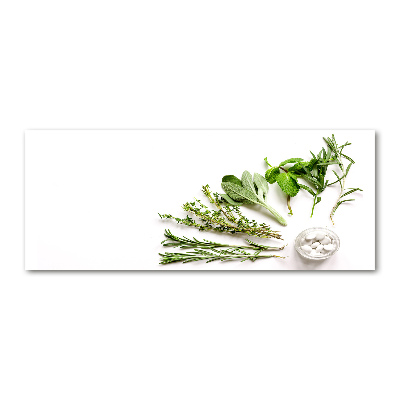 Wall art acrylic Herbs