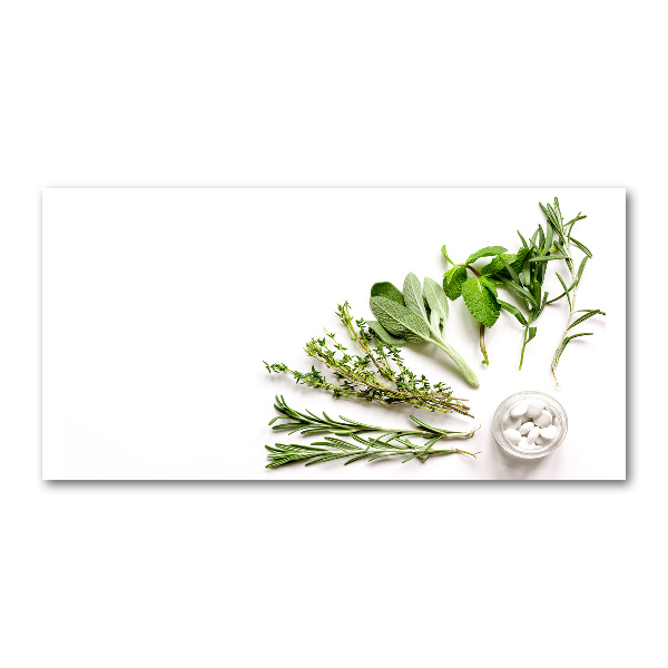 Wall art acrylic Herbs