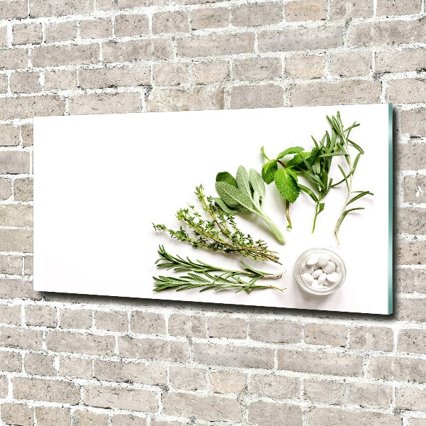 Wall art acrylic Herbs