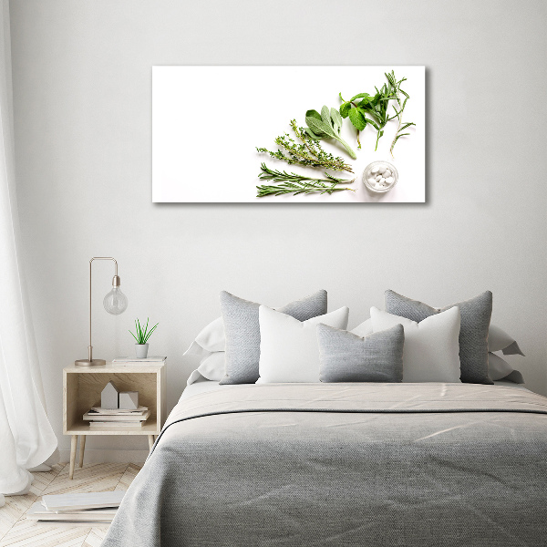 Wall art acrylic Herbs