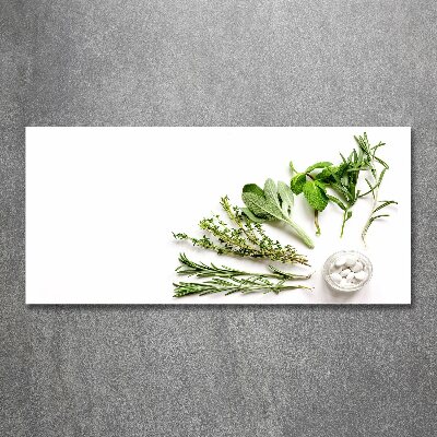 Wall art acrylic Herbs