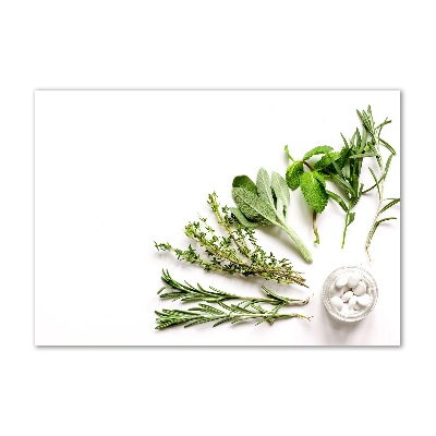 Wall art acrylic Herbs