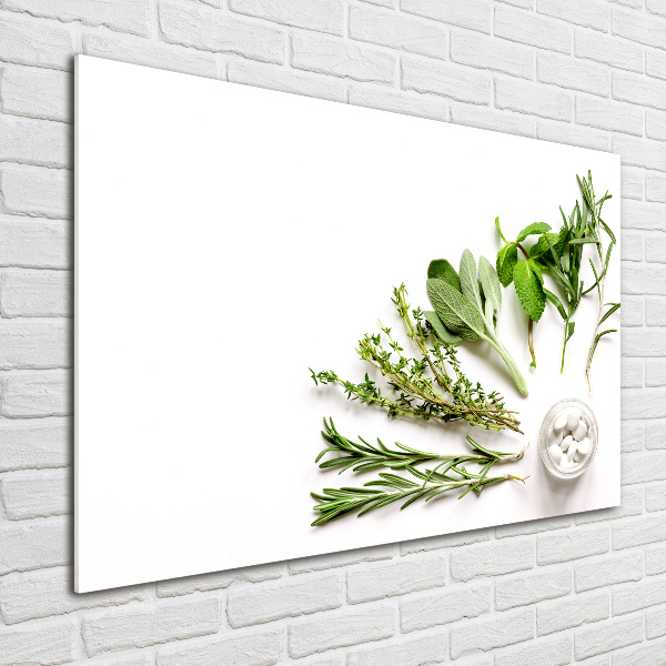 Wall art acrylic Herbs