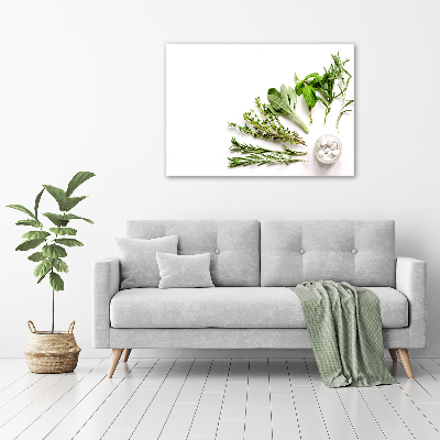 Wall art acrylic Herbs