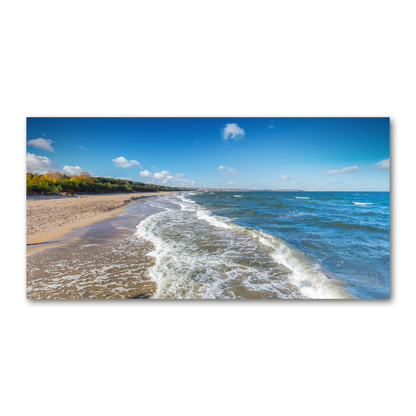 Wall art acrylic Baltic Sea