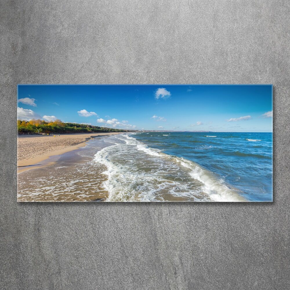 Wall art acrylic Baltic Sea