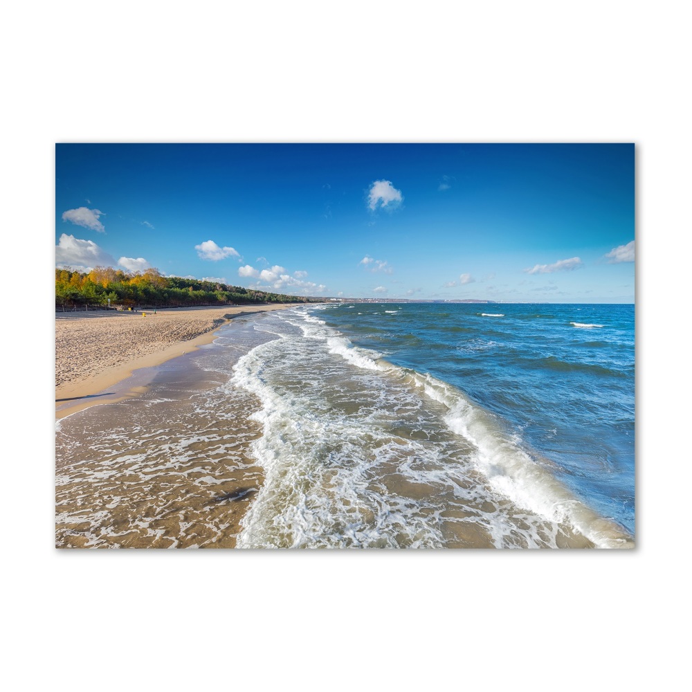 Wall art acrylic Baltic Sea