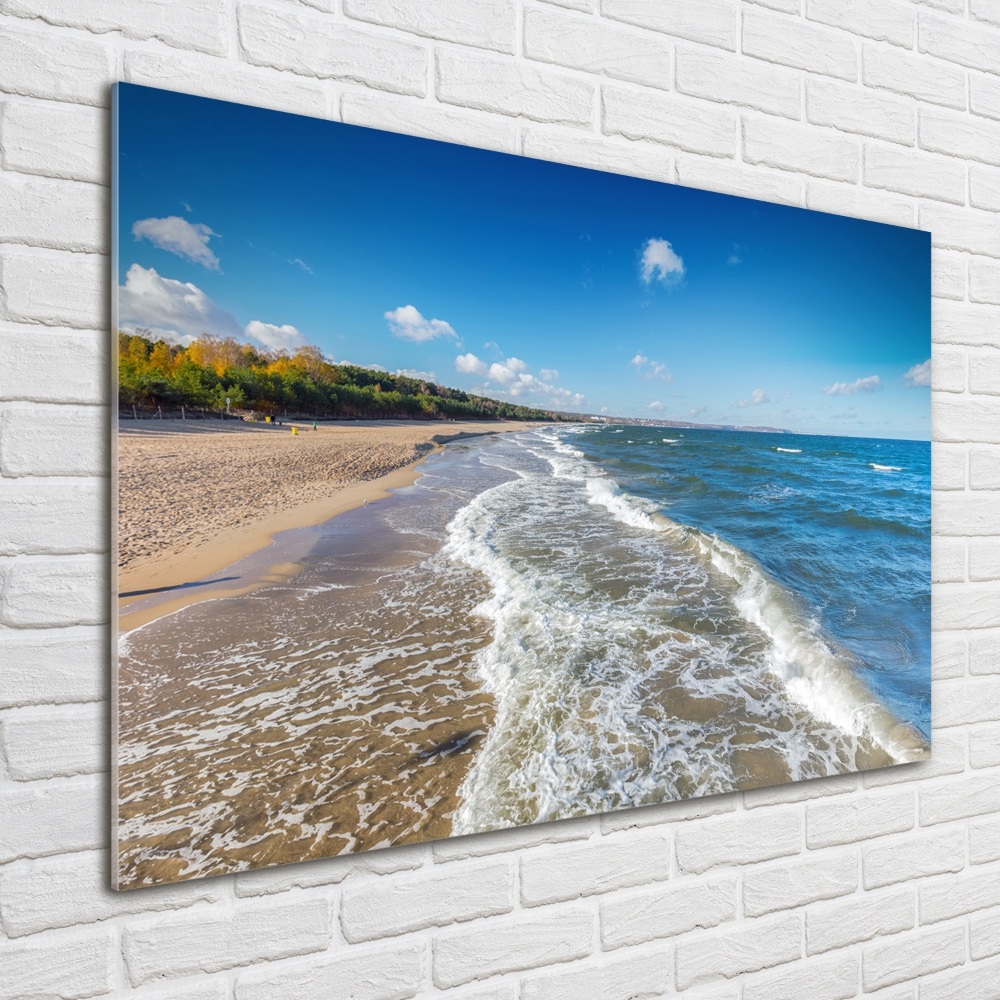 Wall art acrylic Baltic Sea