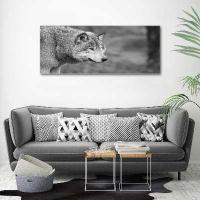 Print on acrylic Gray wolf