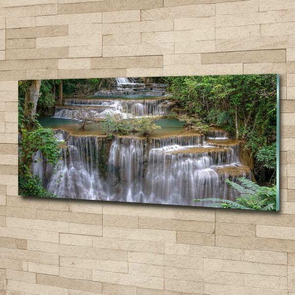 Acrylic wall art Waterfall in the forest