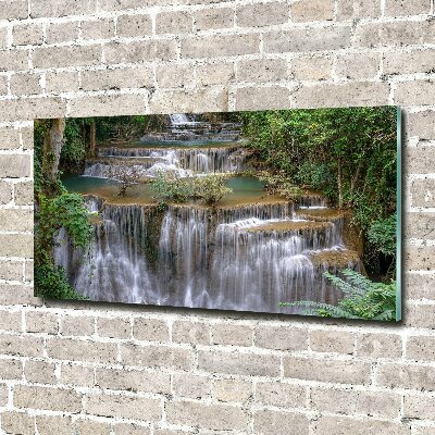 Acrylic wall art Waterfall in the forest