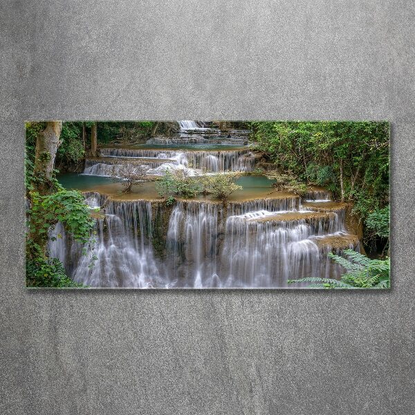 Acrylic wall art Waterfall in the forest