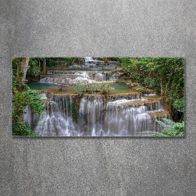 Acrylic wall art Waterfall in the forest