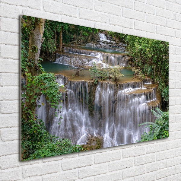 Acrylic wall art Waterfall in the forest