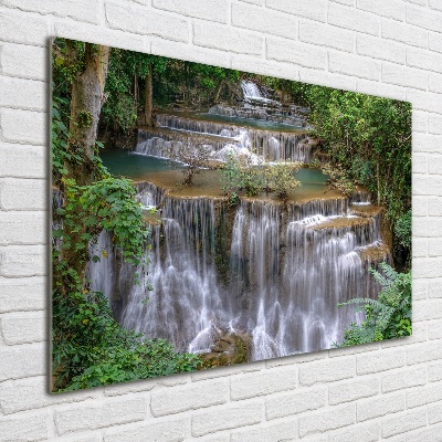 Acrylic wall art Waterfall in the forest