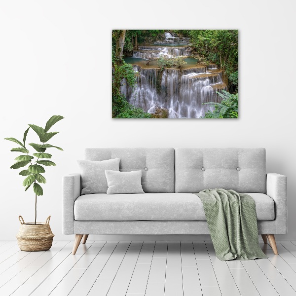 Acrylic wall art Waterfall in the forest