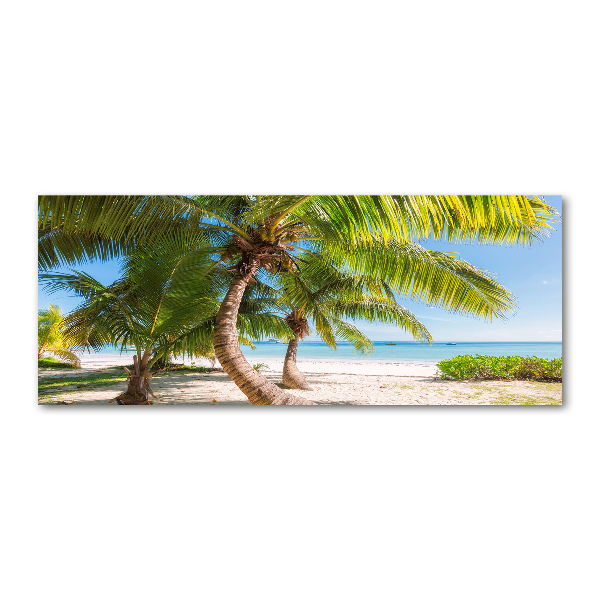 Acrylic print Tropical beach