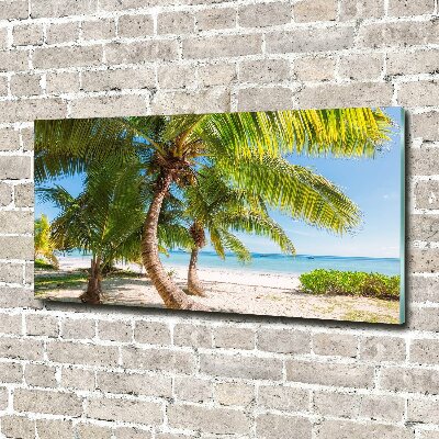 Acrylic print Tropical beach