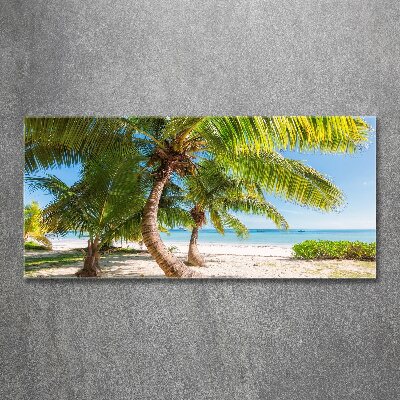 Acrylic print Tropical beach