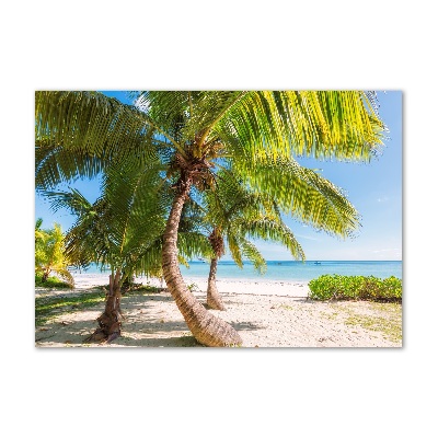 Acrylic print Tropical beach