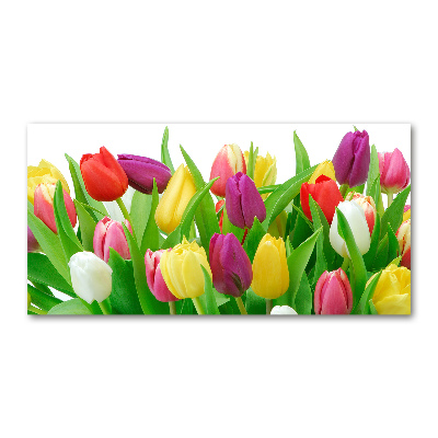 Glass acrylic wall art Colorful tulips