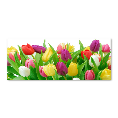 Glass acrylic wall art Colorful tulips