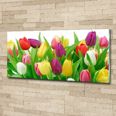 Glass acrylic wall art Colorful tulips