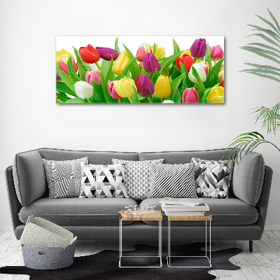 Glass acrylic wall art Colorful tulips