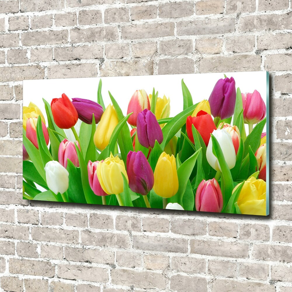 Glass acrylic wall art Colorful tulips