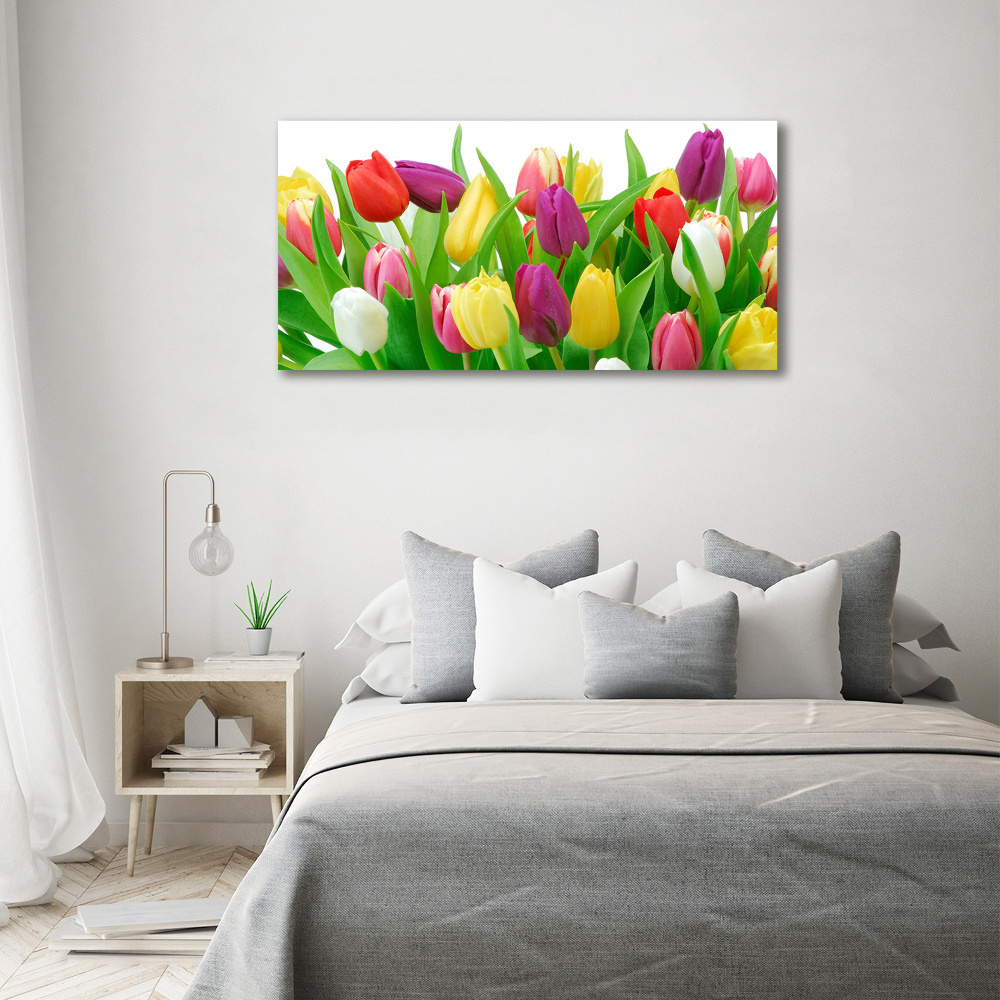 Glass acrylic wall art Colorful tulips