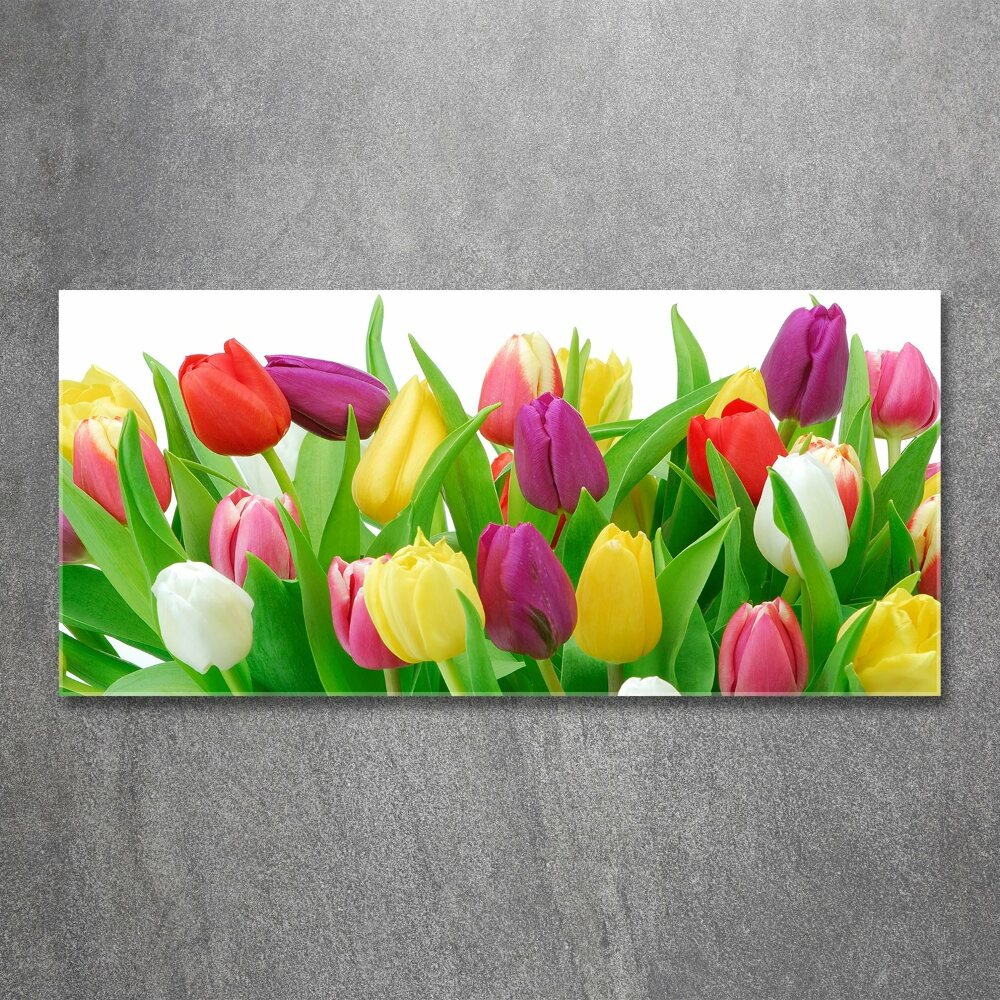 Glass acrylic wall art Colorful tulips