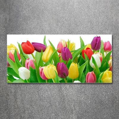 Glass acrylic wall art Colorful tulips