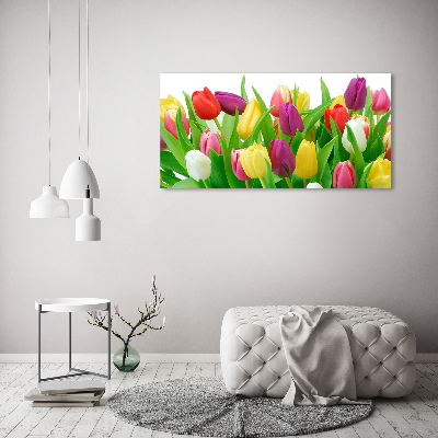 Glass acrylic wall art Colorful tulips