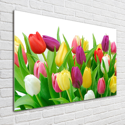 Glass acrylic wall art Colorful tulips