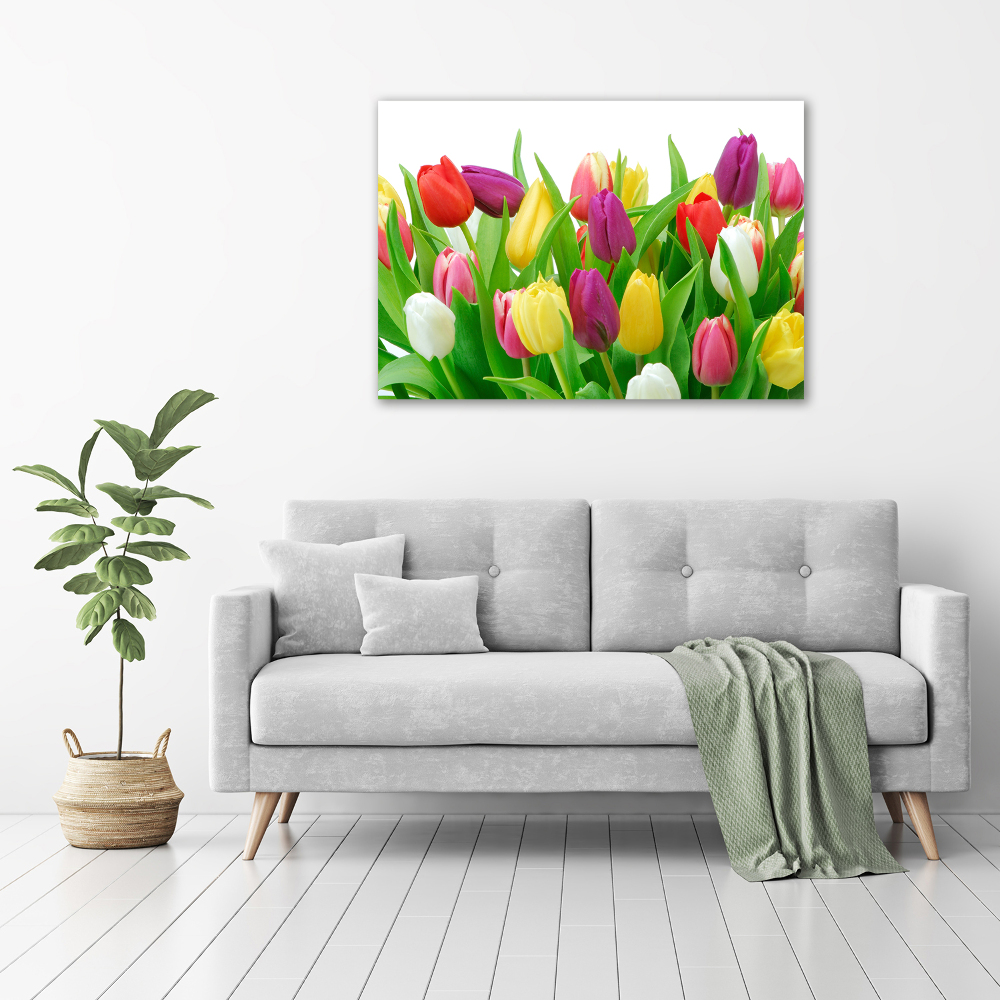 Glass acrylic wall art Colorful tulips