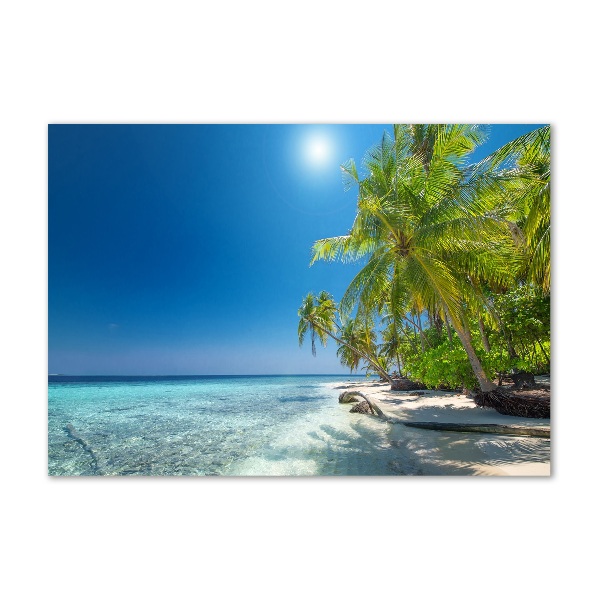 Acrylic print Maldives beach